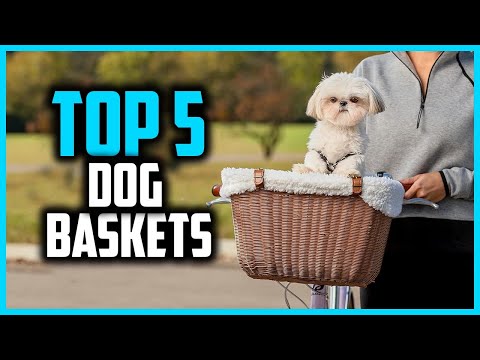 ✅Top 5 Best Dog Baskets For Bikes in 2025