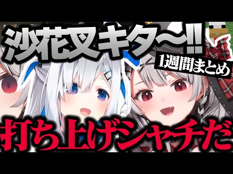 【沙花叉クロヱ】可愛い爆笑シーンまとめ(2/2〜2/8)【天音かなた/さかまたクロエ/ホロライブ/切り抜き】