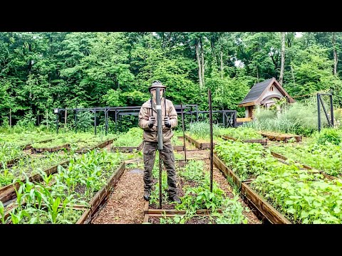 Garden Maintenance in a Rain Storm | Repairing Deer Fencing