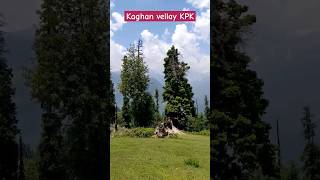 Kaghan vellay you beauty Manshi Top #travel #viral #shortvideo #shortsfeed