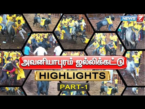 அவனியாபுரம் ஜல்லிக்கட்டு HIGHTLIGHTS | Avaniyapuram Jallikattu 2025