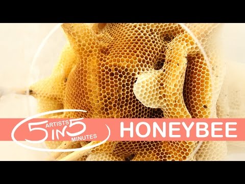 HONEYBEE | 5 Artists in 5 Minutes | LittleArtTalks