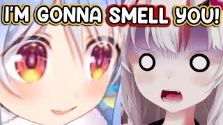 Ayame's Smell EXPOSED By Pekora