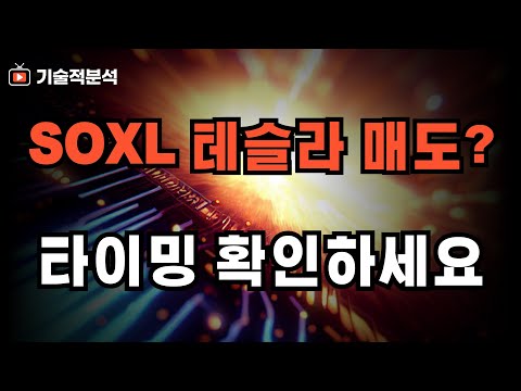 SOXL 테슬라 매도 타이밍? ｜지금은 아닙니다 구간 확인하세요!