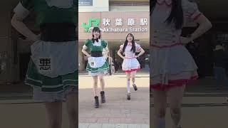 【秋葉原】RPG 踊ってみた  #shorts #メイドカフェ #コンカフェ嬢  #コンカフェ