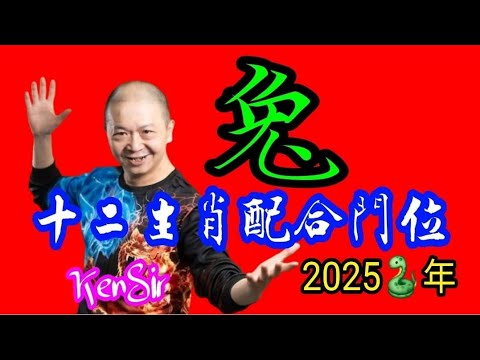 🧭🏠⛩️《兔》｜2025蛇年十二生肖｜🐰《兔》配合家居環境｜生肖配八門吉兇｜宅命相配｜環境能量｜#2025蛇年 #生肖兔🐇