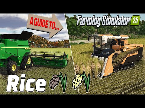 A COMPLETE GUIDE TO… RICE! (CONSOLE PERSPECTIVE!) ON FARMING SIMULATOR 25?!