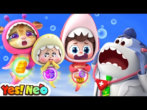 Baby Shark Got Boo Boo | It's Not Food, Baby! |  Safety Rules | Nursery Rhyme & Kids Song | Yes! Neo