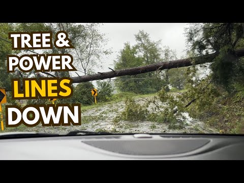 Trees and Power Lines Down on Anderson Mill Road