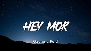 🔥 Ozuna, Feid - Hey Mor (Letra / Lyrics)