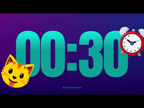 Timer 30 Seconds (Countdown)