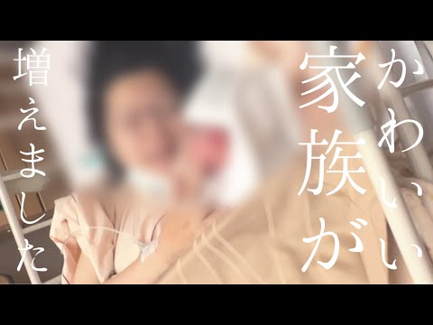 【出産のご報告】半月入院の難産で家族が1人増えました/妊娠出産子育て費用【夫手取り15万円以下でも専業主婦を目指す】