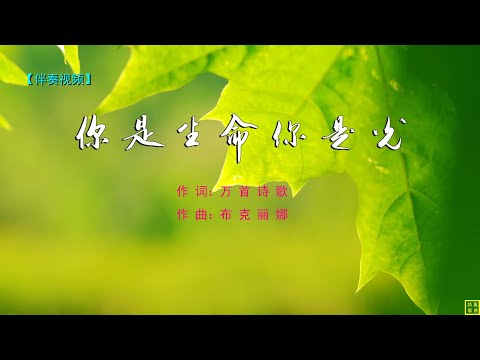 你是生命你是光（伴奏）