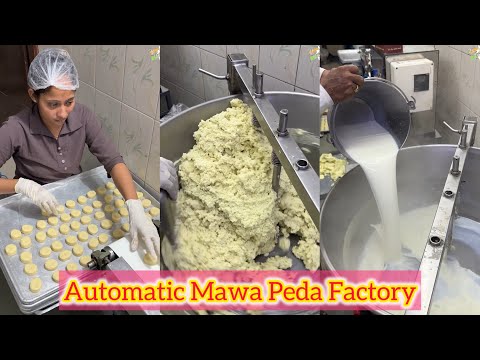 Automatic Mawa Peda Factory in Gujarat😍😍 Bhut tasty hote hai inke Pede🤩🤩