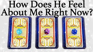 💕WHAT DOES HE/SHE THINK AND FEEL ABOUT ME RIGHT NOW?💕| 🔮Pick A Card🔮 | Love Tarot Reading (Timeless)