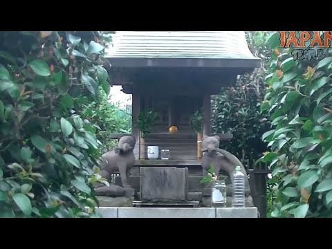 稲荷神社　東京都板橋区徳丸7-16-7