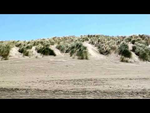 Ocean Beach, San Francisco