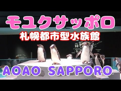 モユクサッポロ（moyuk SAPPORO）2023年7月20日オープン［札幌にできた都市型水族館AOAO SAPPORO］