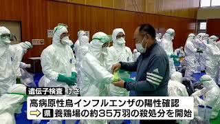 【高病原性鳥インフル】「陽性」確認　今シーズン2例目　養鶏場で飼育の約35万羽を殺処分 《新潟・胎内市》