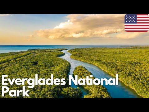 Exploring the Wonders of Everglades National Park