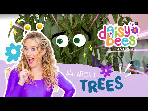 How Trees Grow for Preschoolers!