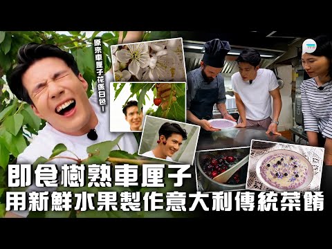 意料之踪｜即食車厘子！ 體驗新鮮車厘子榨汁過程　 嘗試用新鮮水果製意大利傳統菜餚｜TVB Plus