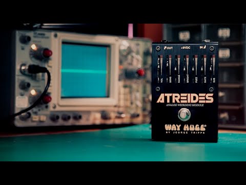 Way Huge® Atreides™ Analog Weirding Module