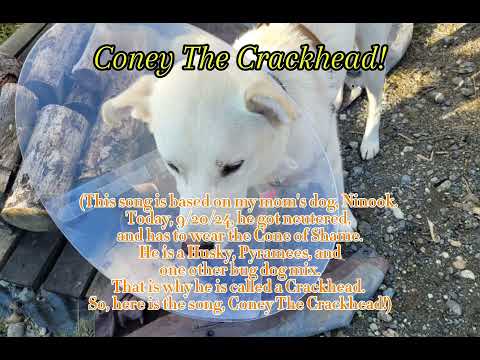 Coney The Crackhead! (Parody to Frosty the Snowman)