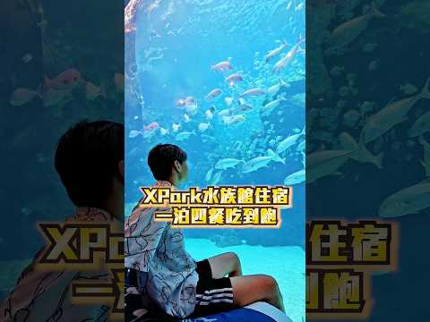 【全台唯一星級Xpark水族館飯店吃到飽】全國唯一星級海洋眠旅！一泊四餐吃到飽！直接水族館裡大睡！露營帳篷裡大吃自助餐！ #吃播 #美食 #大胃王 #mukbang #吃到飽 #桃園 #xpark