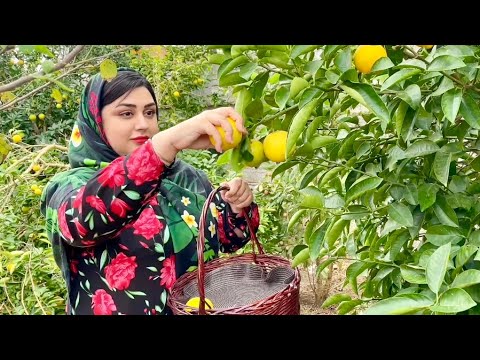 Discover the Serene Charm of Daily Life in an Iranian Village | How to Make Persian Bread