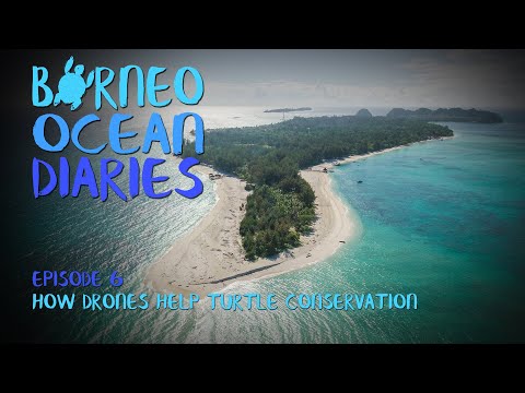 Big Brother is watching - How drones help turtle conservation  | Borneo Ocean Diaries (S01E06)|SZtv