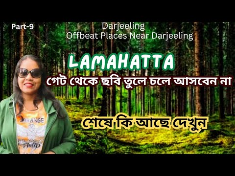 Darjeeling,#part9.Lamahatta Darjeeling.Offbeat places near darjeeling.Lamahatta.Lamahatta eco park.