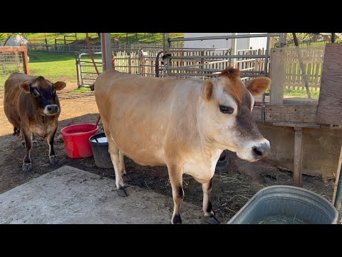 [4KHDR]  Rancho San Antonio: Deer Hollow Farm