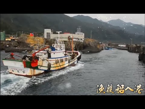 漁季嚴選 白帶魚捕撈過程