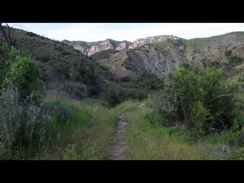 Paradise Road:  Los Padres National Forest