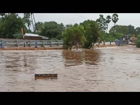 Rain Flood😳 || Punjai Puliyampatti ,Erode