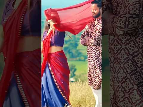 तो बाहको तबले वाजे new timli song || new aadivasi song official || 2025  new aadivasi timli song.