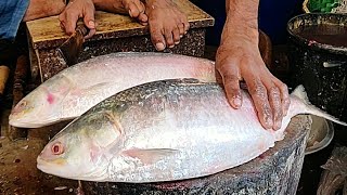 Perfect Hilsa (ilish) Fish Cutting | Fish Cutting In Bangladesh