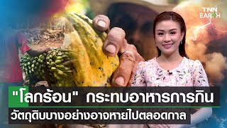 "โลกร้อน" กระทบอาหารการกิน วัตถุดิบบางอย่างอาจหายไปตลอดกาล  | TNN EARTH | 29-09-23