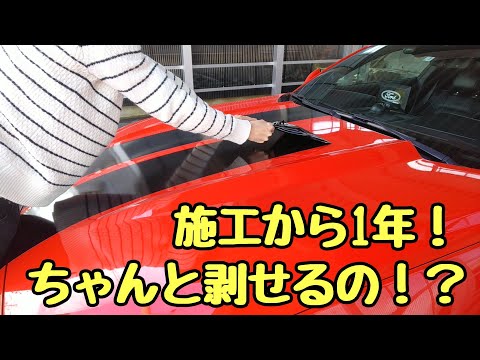 カーラッピング 綺麗に剥せる！？剥がした後の色褪せは！？マスタング 2015 ford mustang