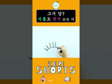 [KERI SHORTS]식물🌿도 전기를 쓴다고? 응~ 파리지옥. 자연 속 전기 현상 모음 2탄#shorts