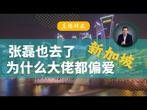 张磊也去了新加坡，为什么大佬都偏爱新加坡？【直播精选】第475期