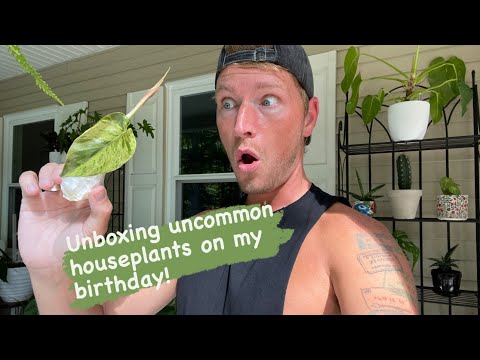 Uncommon Houseplant Unboxing! Birthday plants from Texas! | URBAN FARMBOYS