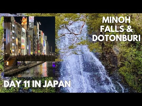 DAY 11 in JAPAN A Day trip to the Famous Minoh Falls & Capturing the beauty of Dotonburi, Osaka