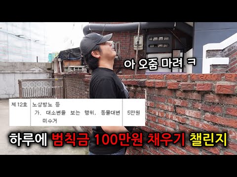 하루에 범칙금 100만원 채우기 챌린지