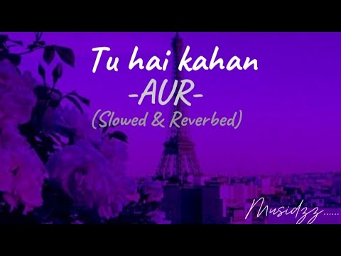 Tu hai Kahan -AUR (slowed and reverbed) @Musidzz