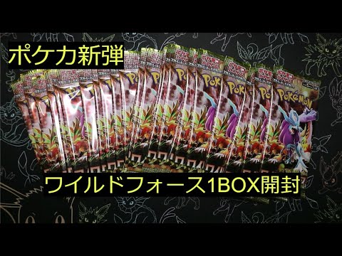 【ポケカ】最新弾「ワイルドフォース」1BOX初開封！