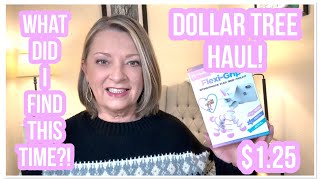 DOLLAR TREE HAUL | What Did I Found This Time! | $1.25 | WOW | LOVE DT😁 #haul #dollartree