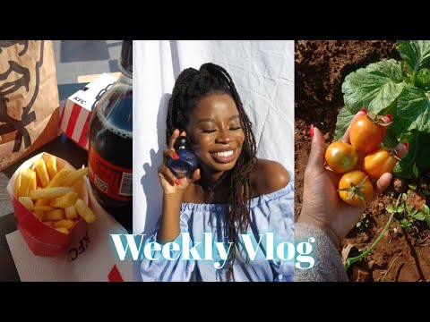 #weeklyvlog | My 1st Campaign 🥳🥂| shopping|some maintenance: DIY hair & nails and more | Tshivhuya