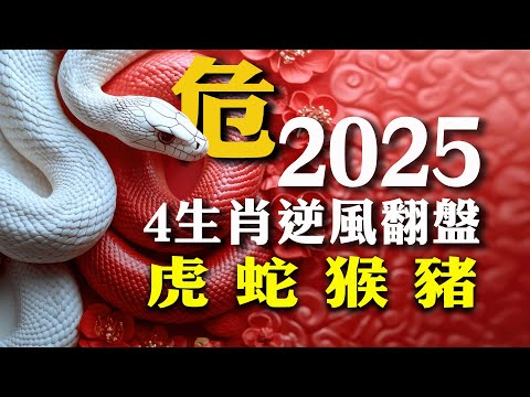 2025年虎、蛇、猴、豬犯太歲？別怕！三招教你逆風翻盤？教你三招直接逆轉乾坤2025年！【佛語】#運勢 #風水 #佛教 #生肖 #佛語